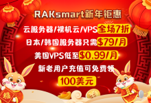 RAKsmart香港服务器新年活动
